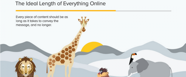 infographie-longueur-ideale-publication-top