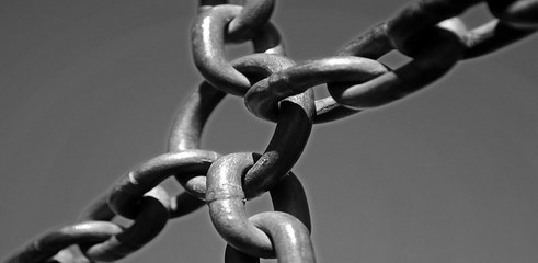 lien-backlink